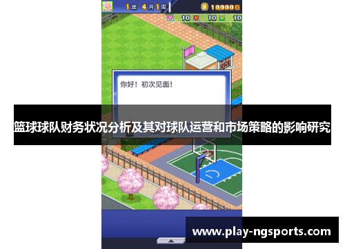 篮球球队财务状况分析及其对球队运营和市场策略的影响研究