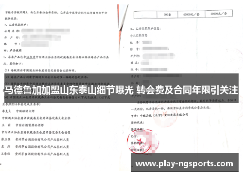 马德鲁加加盟山东泰山细节曝光 转会费及合同年限引关注 马德鲁加加盟山东泰山细节曝光 转会费及合同年限引关注