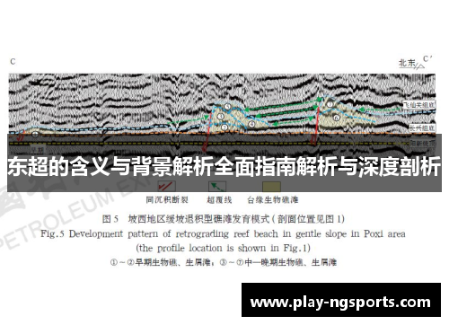 东超的含义与背景解析全面指南解析与深度剖析