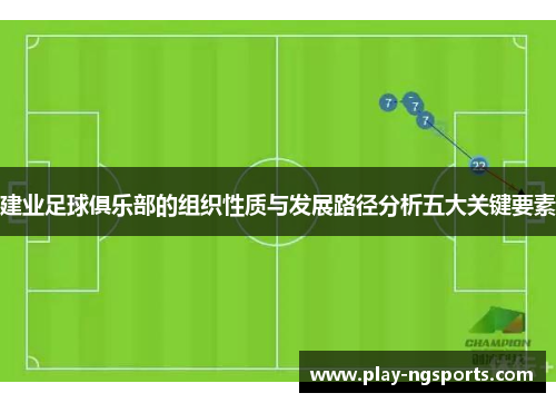 建业足球俱乐部的组织性质与发展路径分析五大关键要素